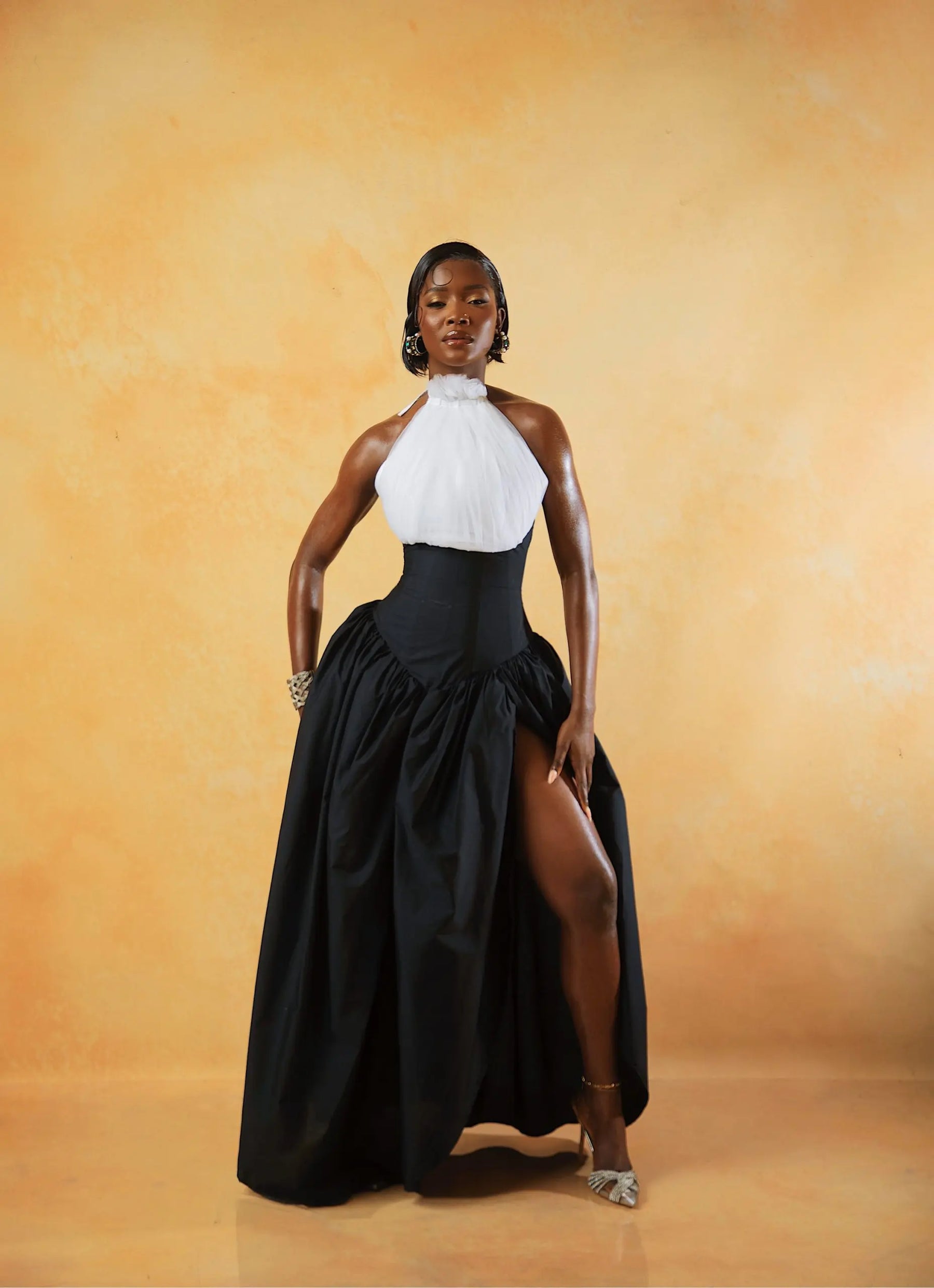 THE SWAN DRESS