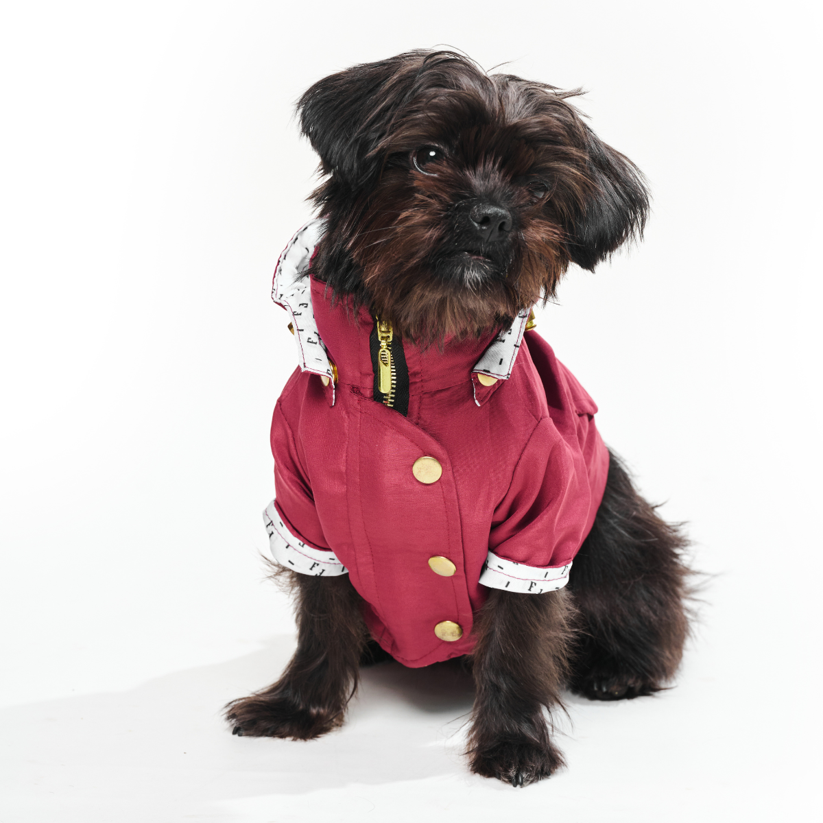 Ruby Dog Raincoat