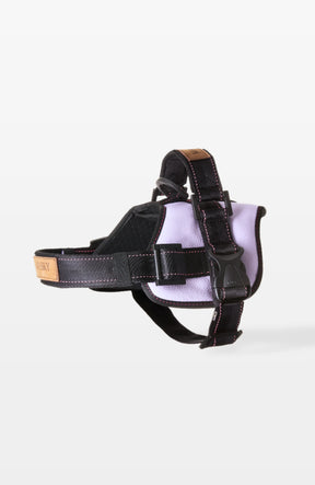 Signature Leather Dog Harness