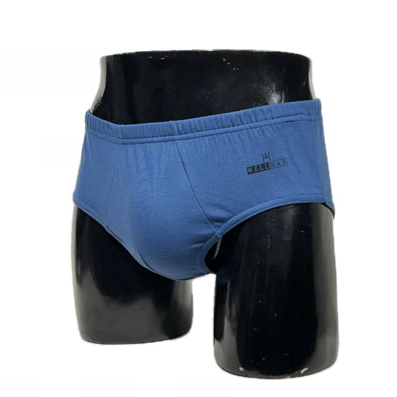 BIKINI CLASICO LLANO