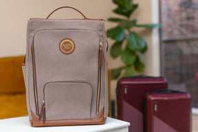 ASPS Luxury Travel shoe bag