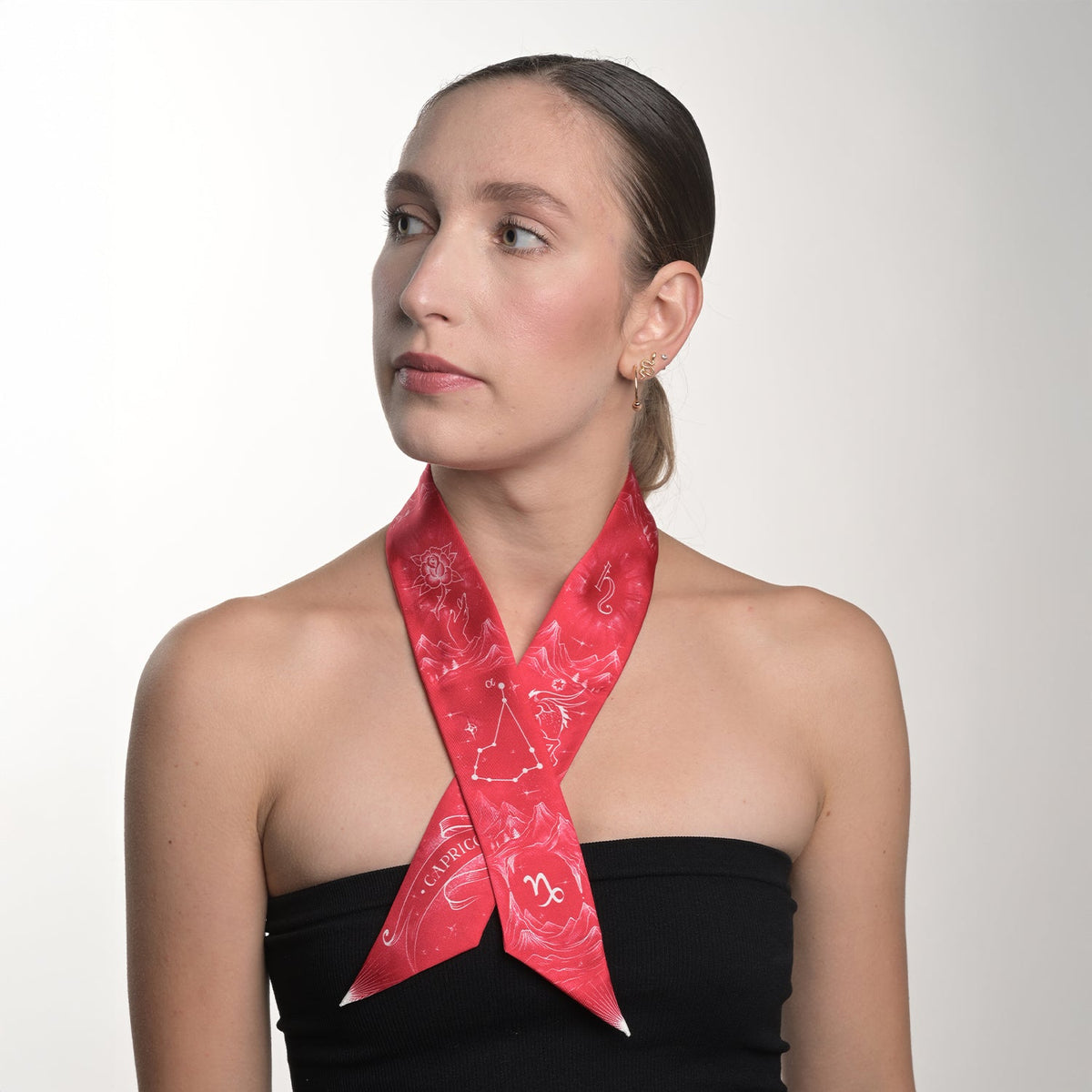 Capricorn Zodiac Twilly