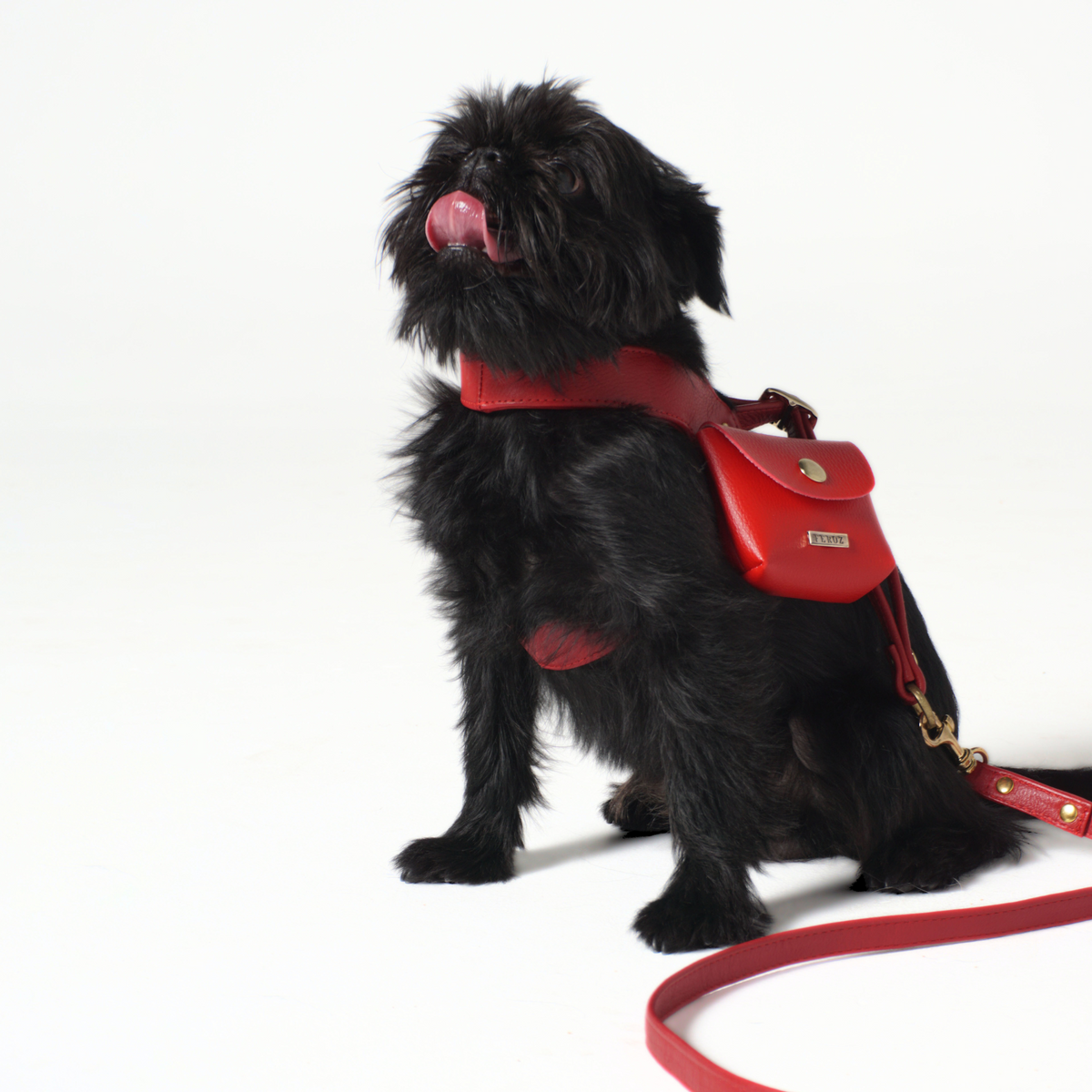Red Leather Dog Harness