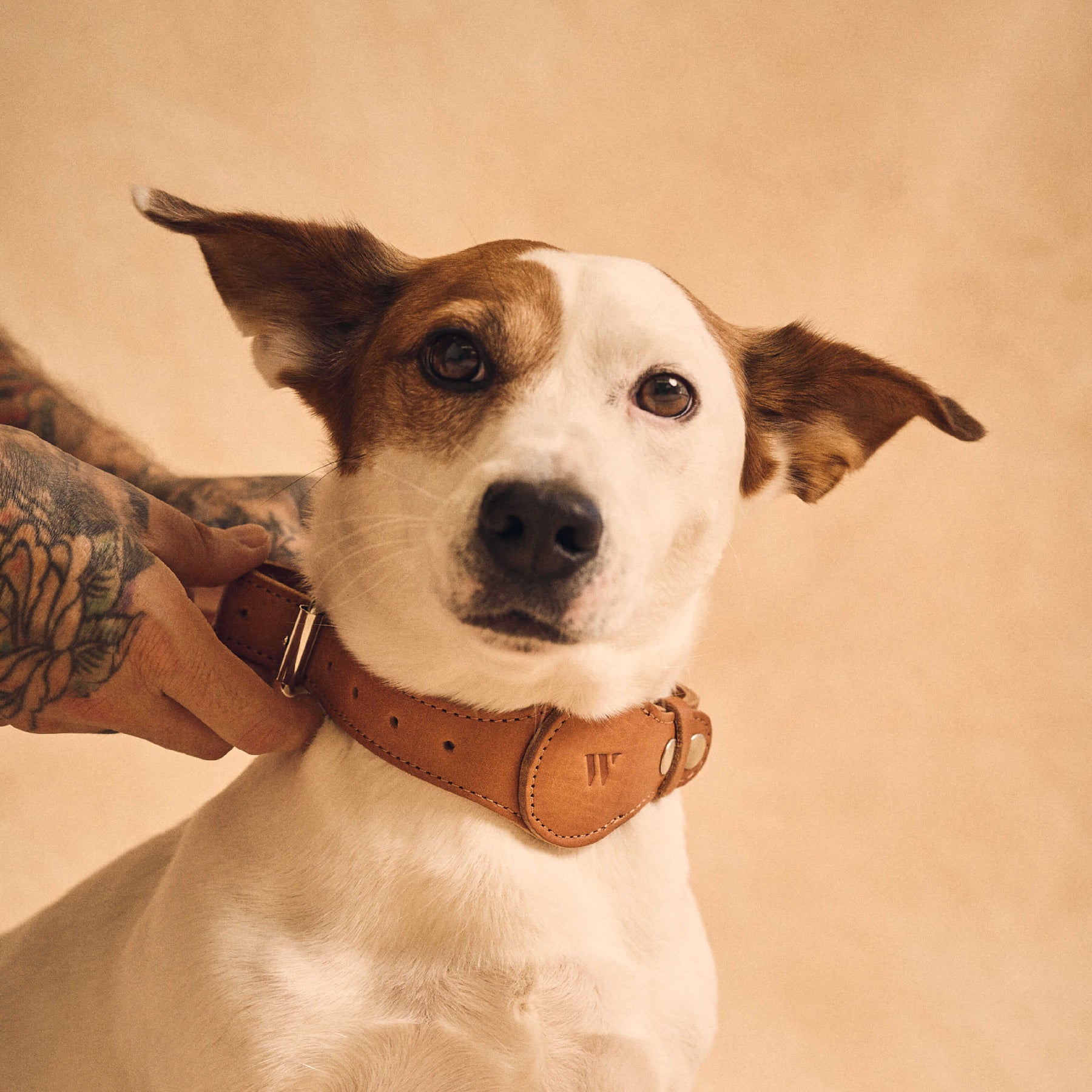 AirTag Pet Leash