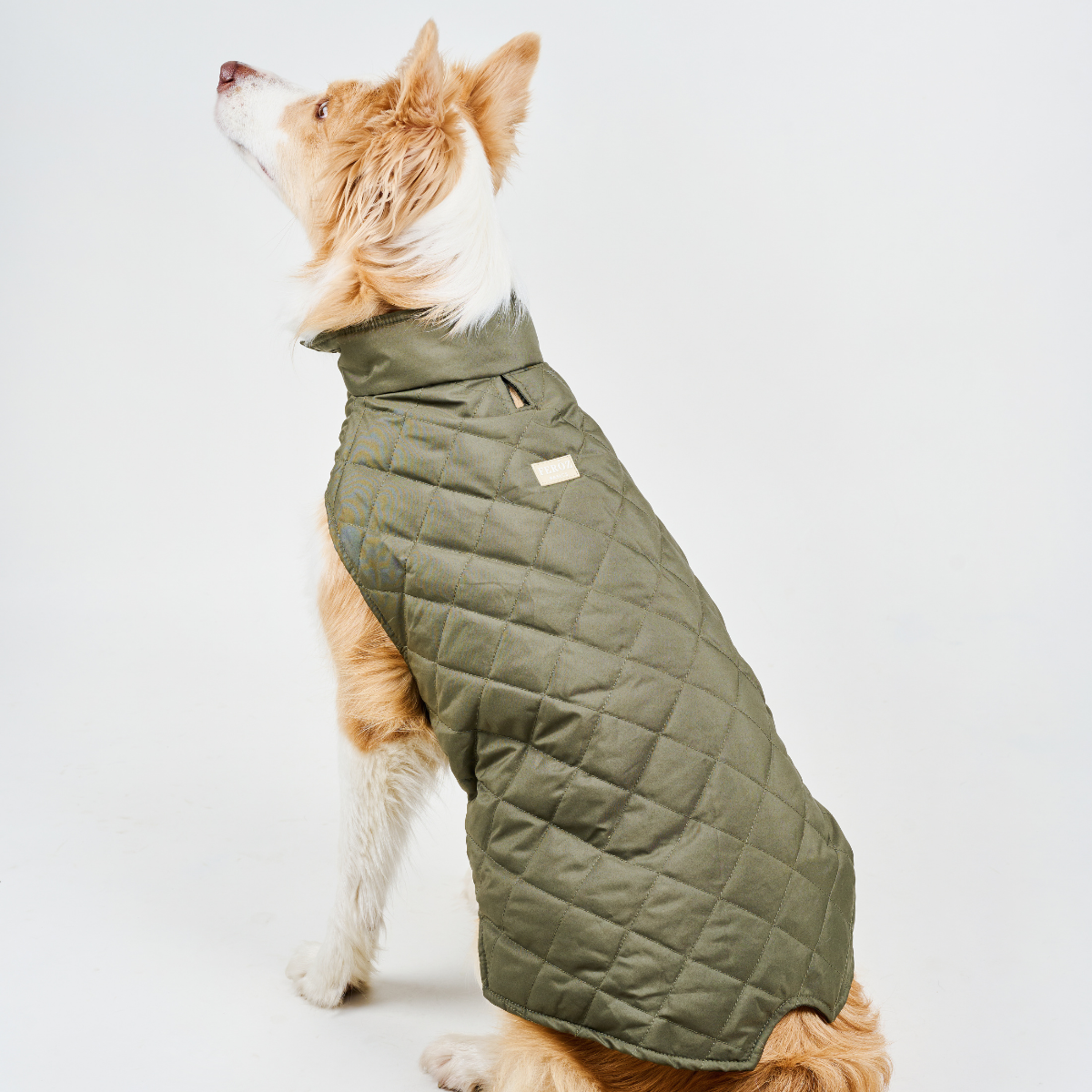 Dog Vest BASIC Military Green