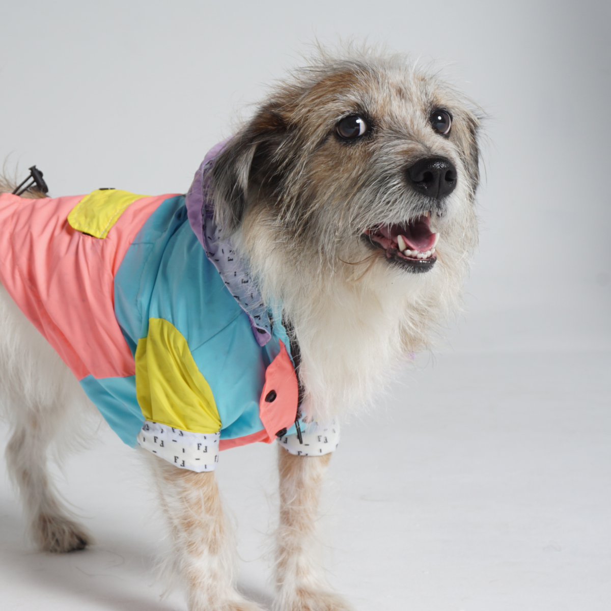 Pastel Dog Raincoat
