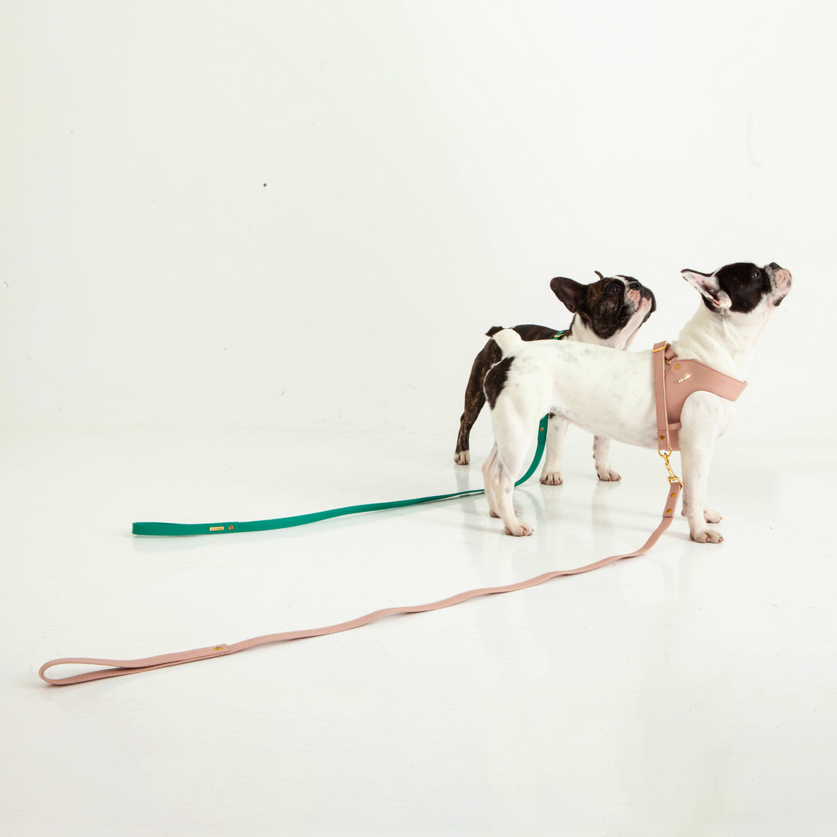 Dusty Rose Leather Dog Leash