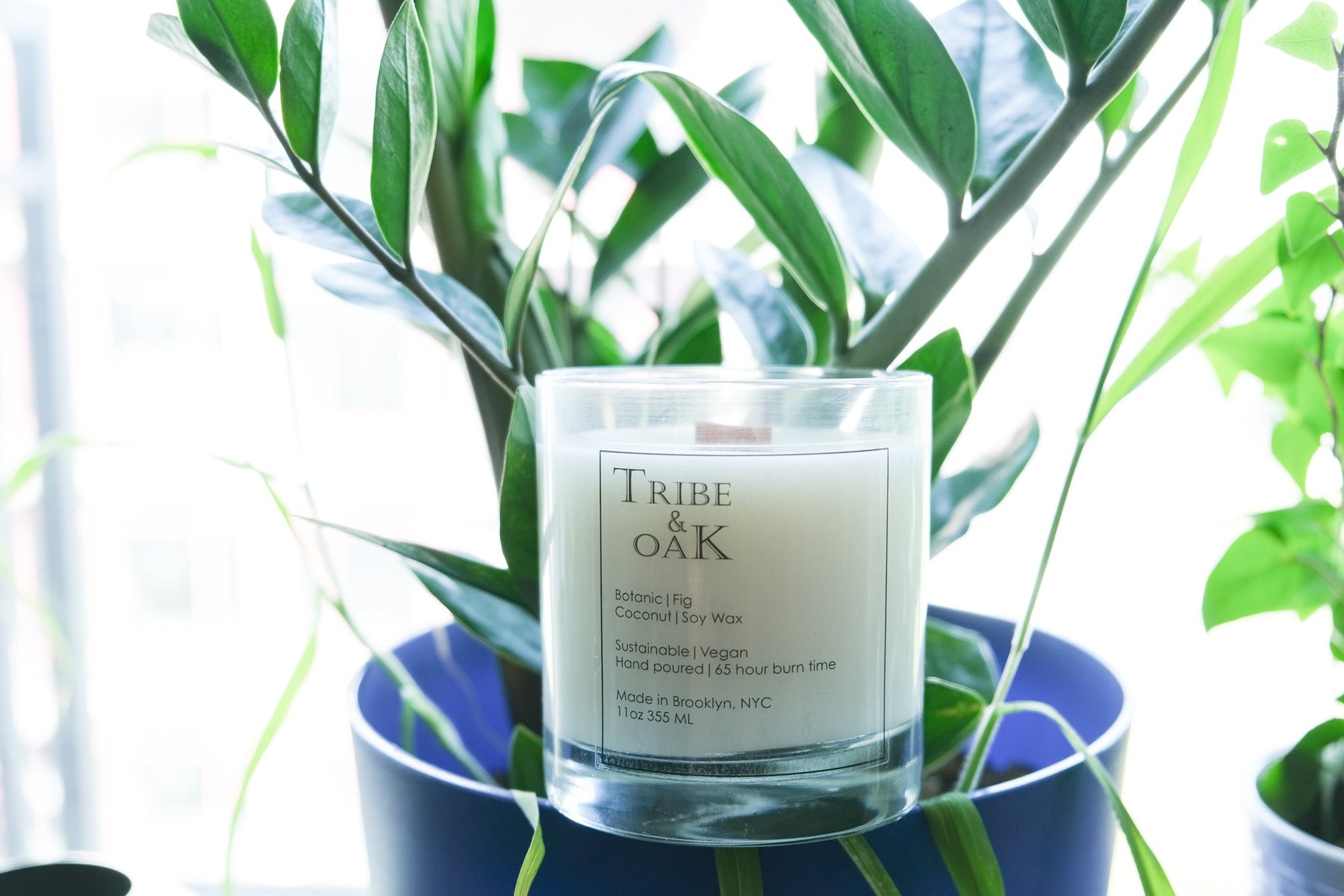 Botanic Fig Coconut-Soy Candle