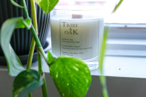 Botanic Fig Coconut-Soy Candle