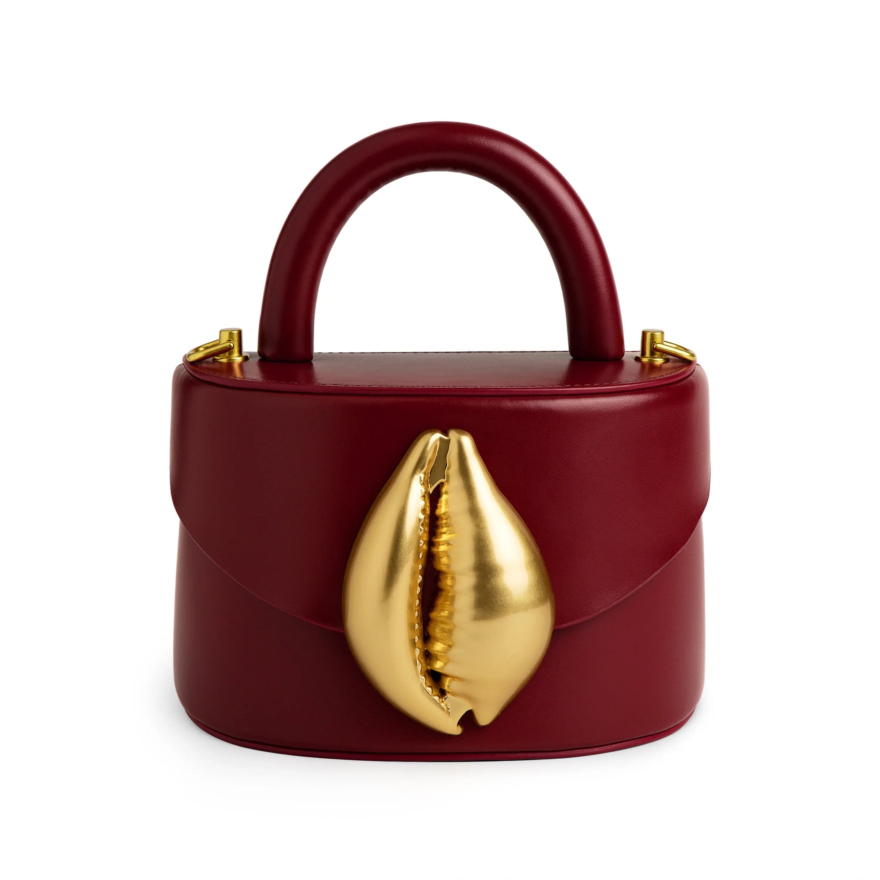 Viera Cowrie Shell