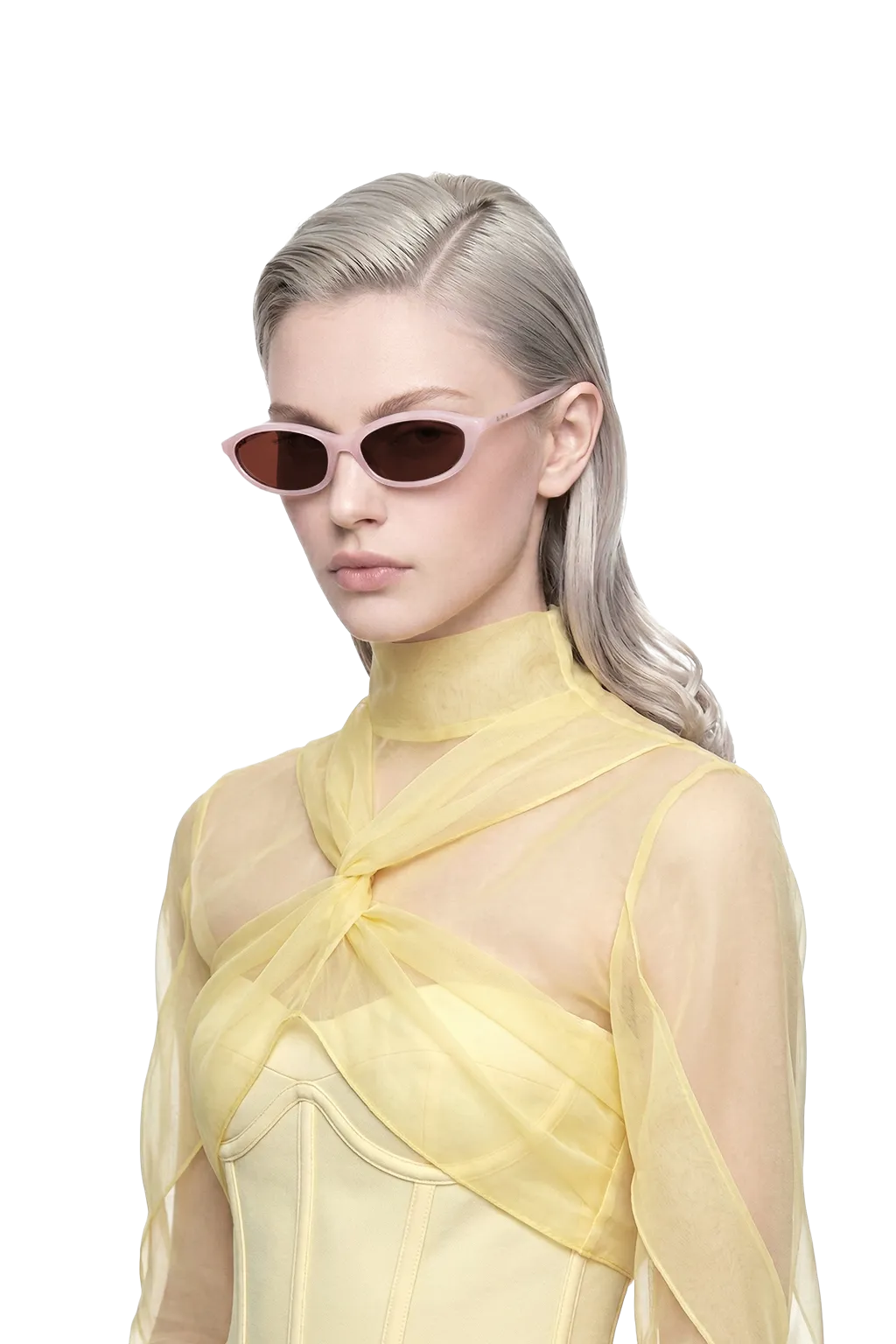 Dina