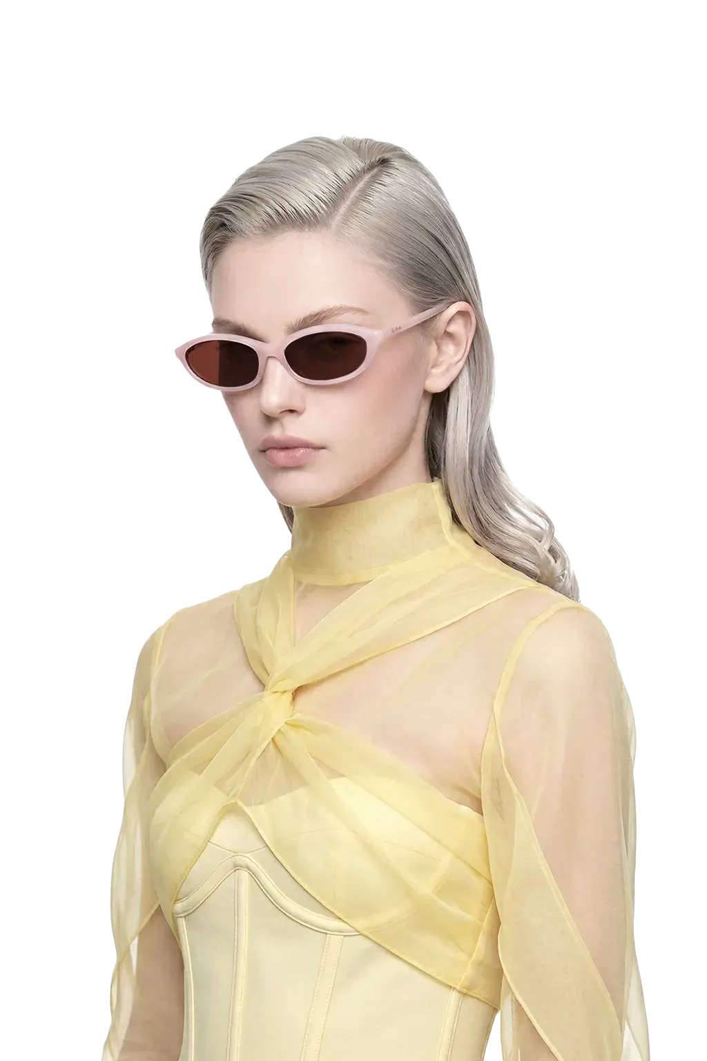 Dina