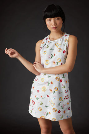Derling Embroidered Dress