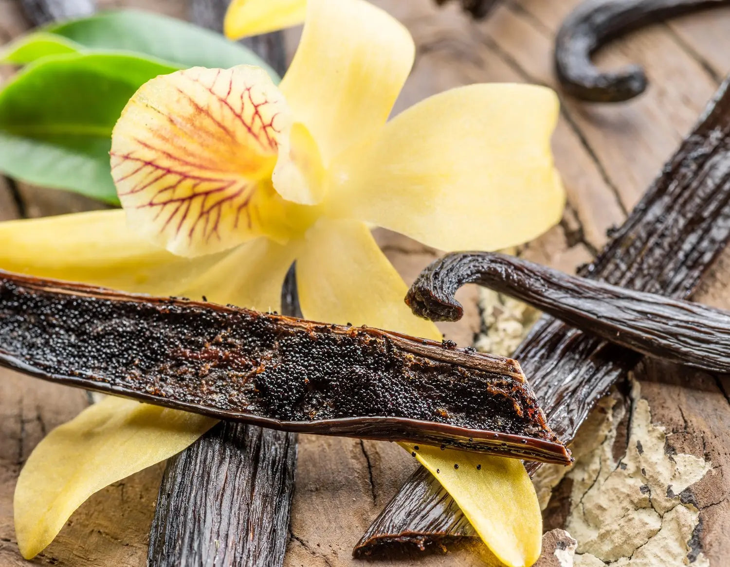 Vanilla & Cardamom Body Oil
