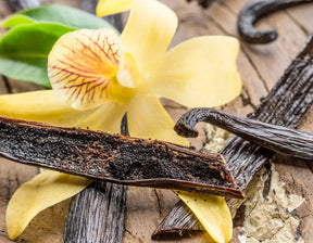 Vanilla & Cardamom Body Oil