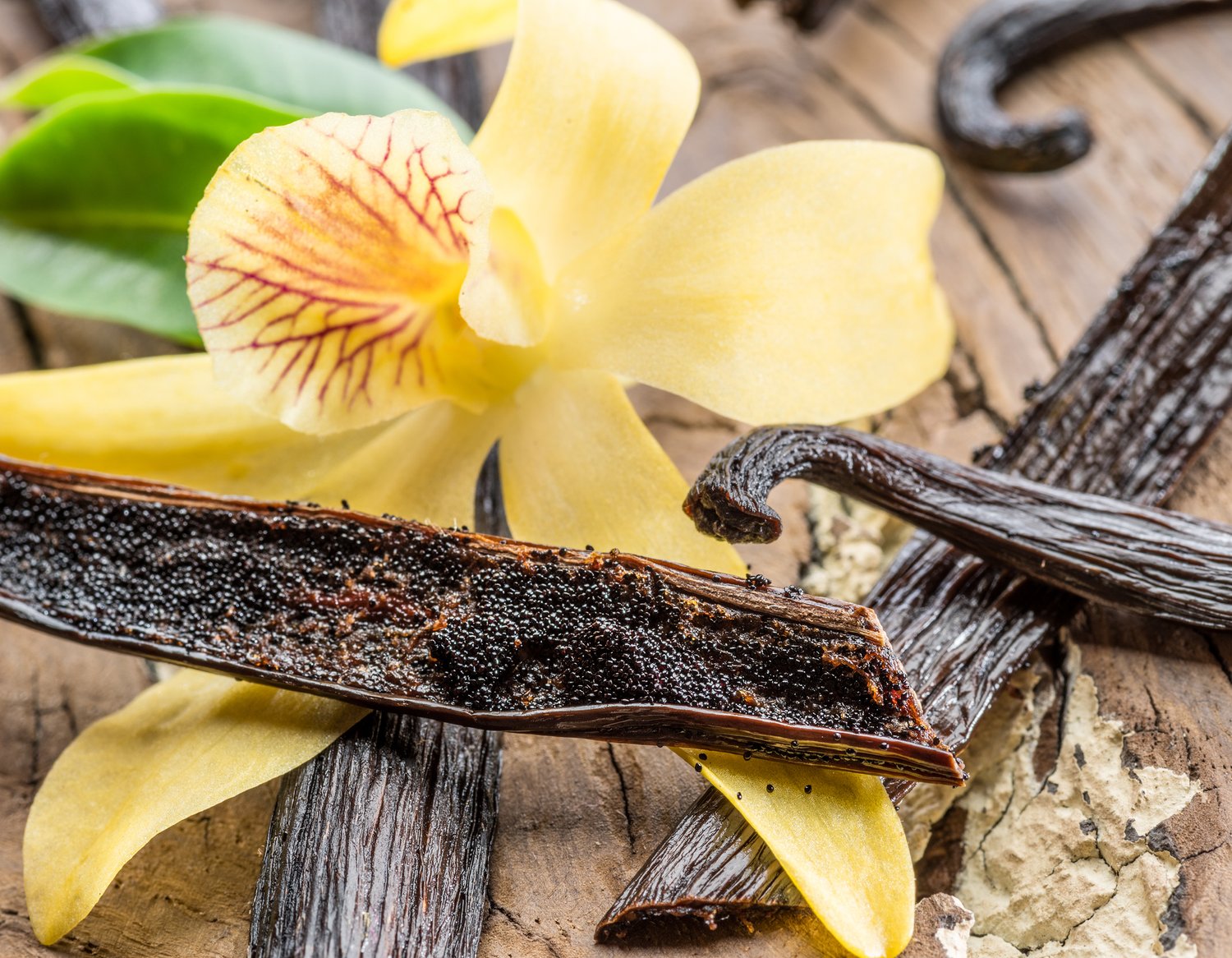 Vanilla & Cardamom Body Oil