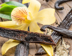 Vanilla & Cardamom Body Oil
