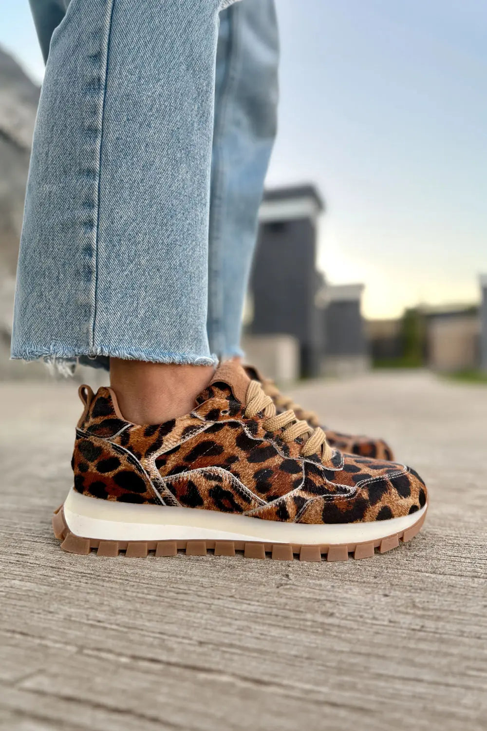 Mule Print