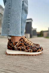 Mule Print