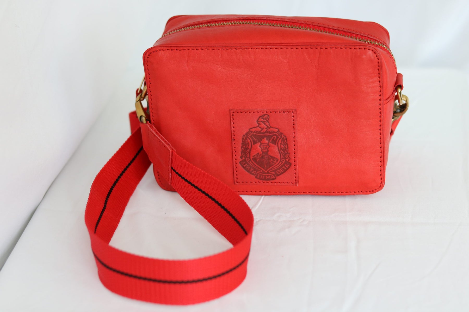 Delta Sigma Theta Red Camera Bag