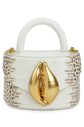 Himalayan Viera Cowrie Shell