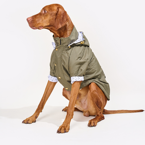 Military Green Dog Raincoat
