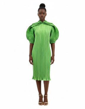 Nisha Pleated Dress