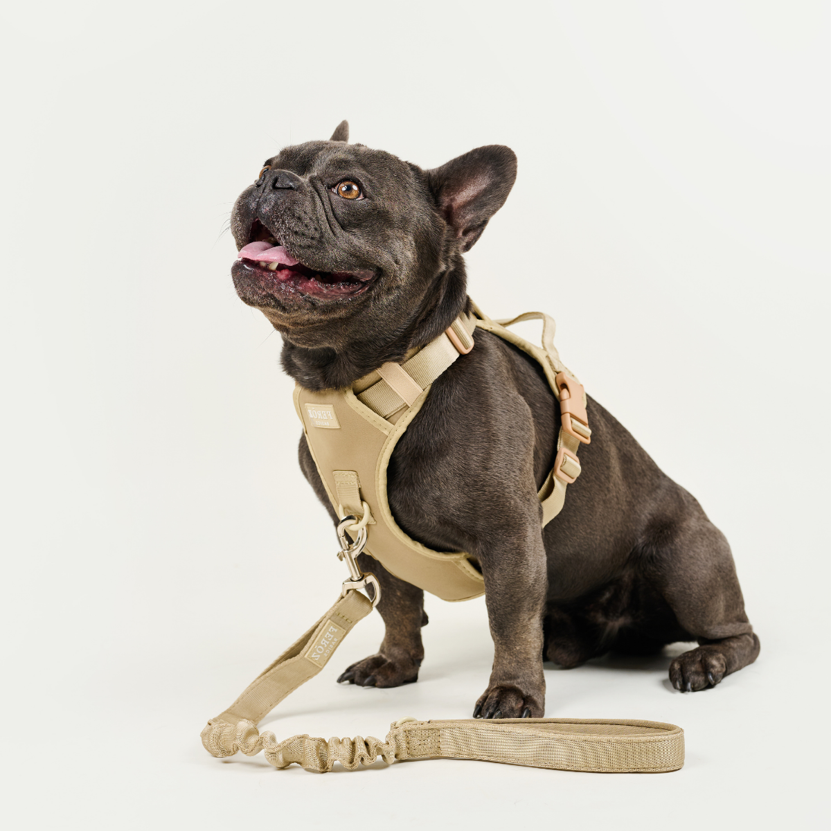 Dog Sport Harness BASIC Beige
