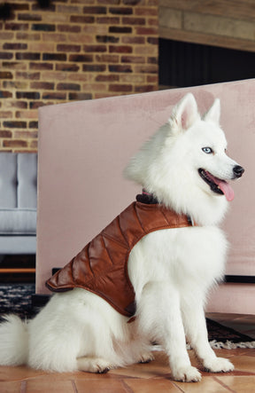 Calm Fit Leather Vest
