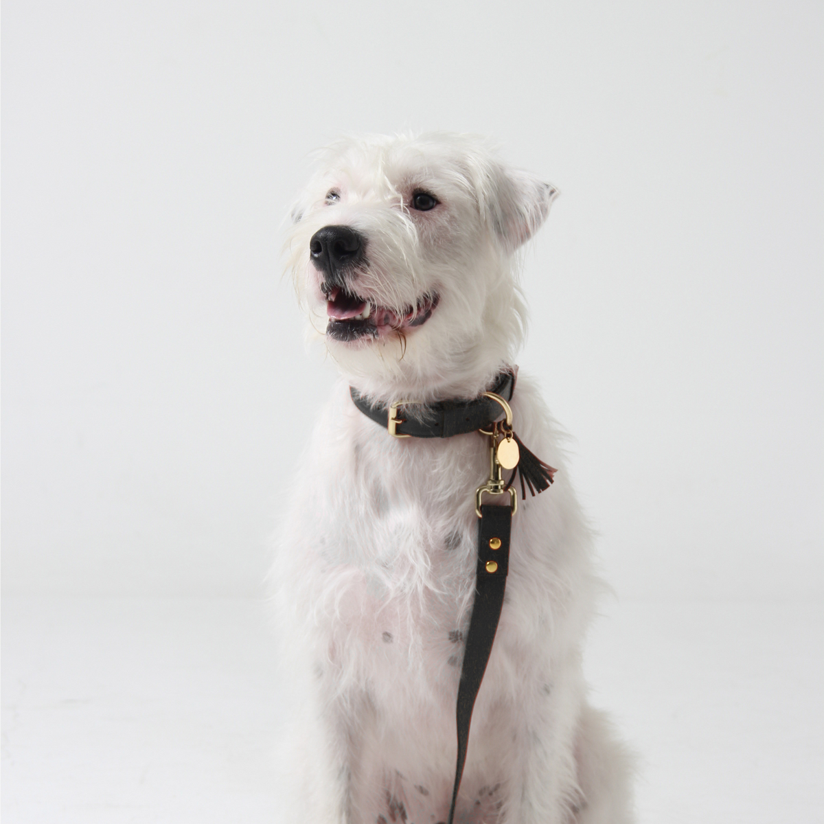 Pine Green Leather Dog Collar