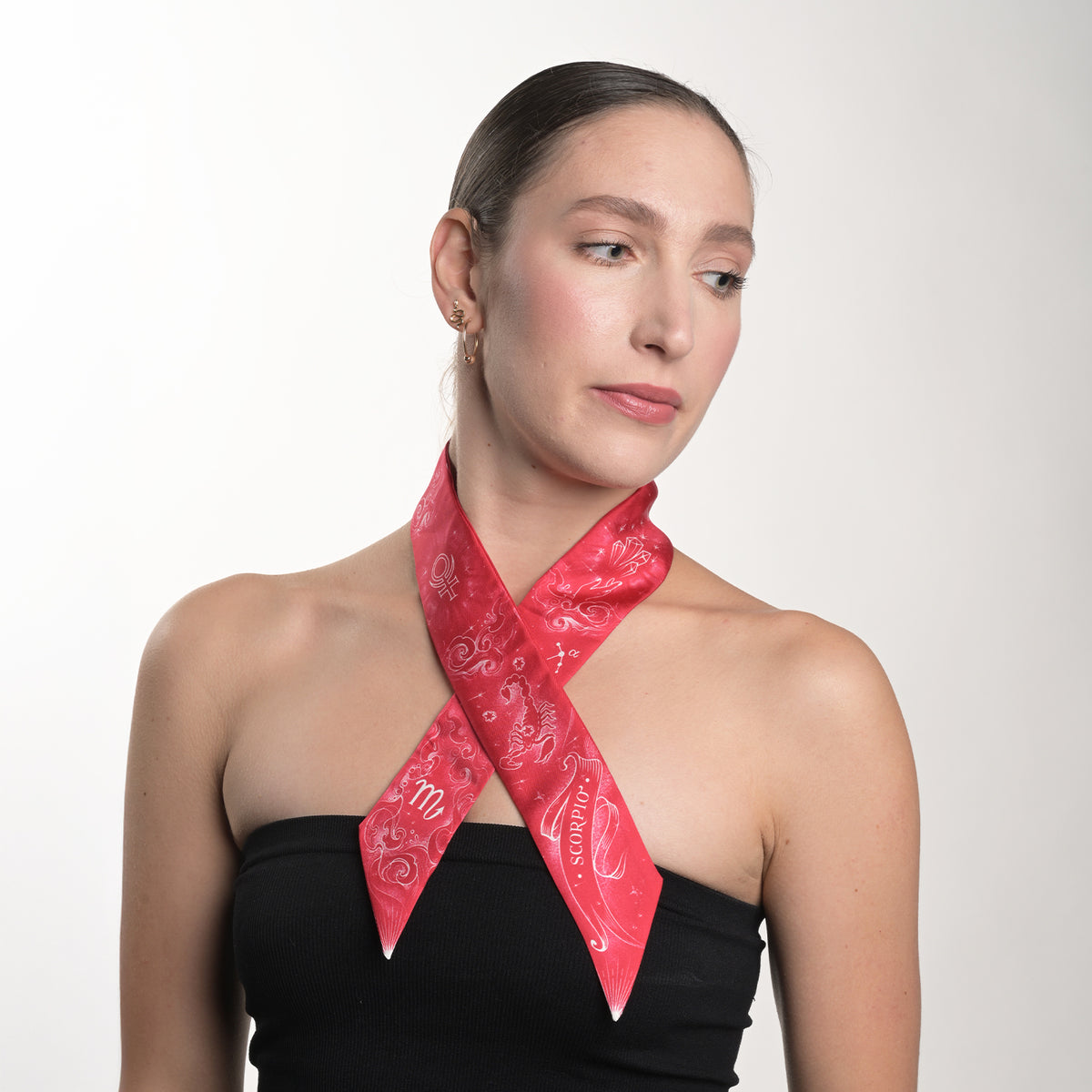 Scorpio Zodiac Twilly