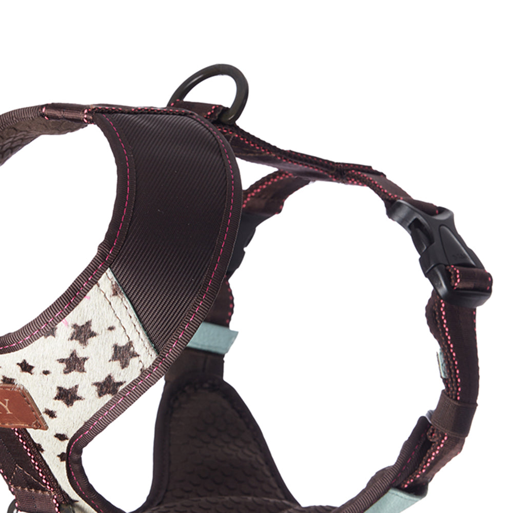 Premium Leather Easy Fit No-Pull Harness ~ Stars & Mint Green