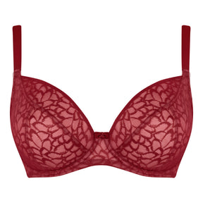 Curvy Kate Love Me Lace Claret