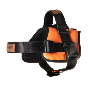 Luxury Leather Harness - Orange & Black