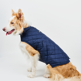 Dog Vest BASIC Navy