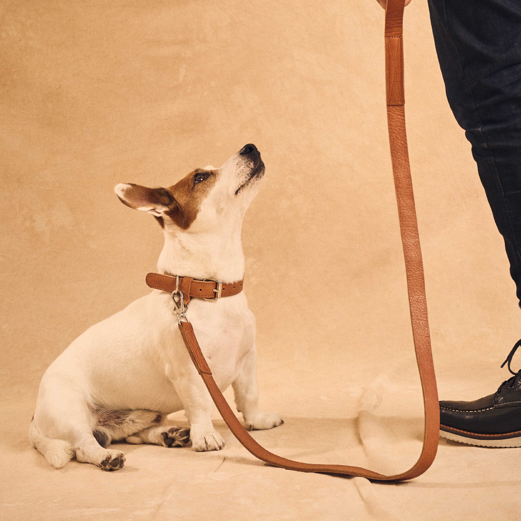 AirTag Pet Leash