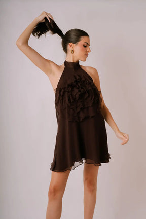 Carolina Silk Chiffon Dress