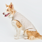 Dog Vest BASIC Beige