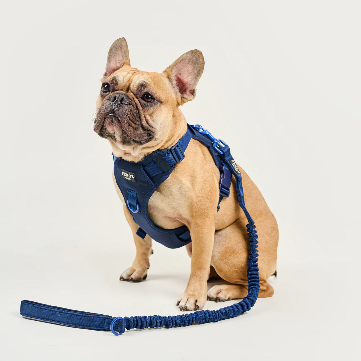 Expandable Short Leash BASIC Navy