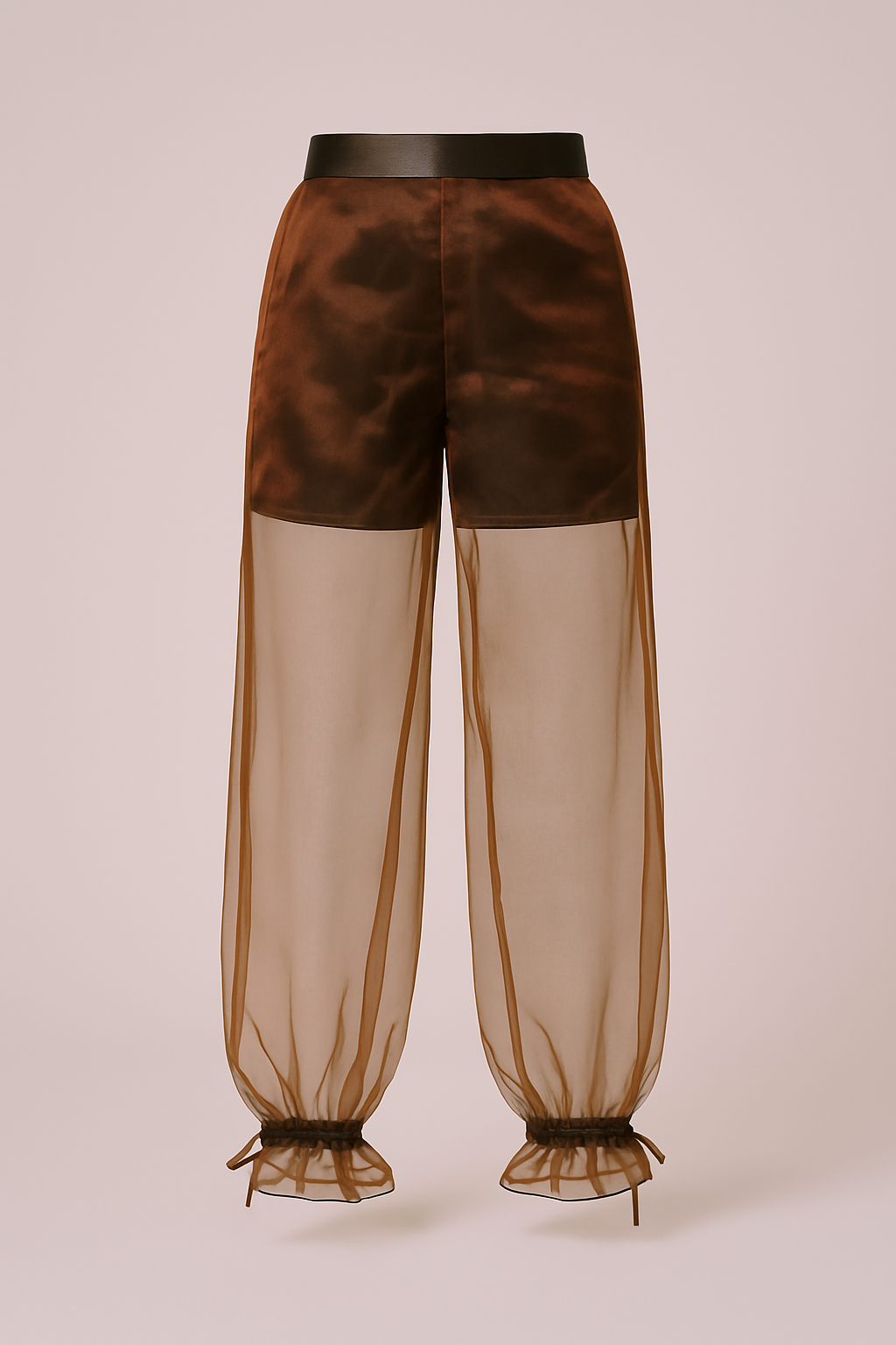 Sheer Organza Pants