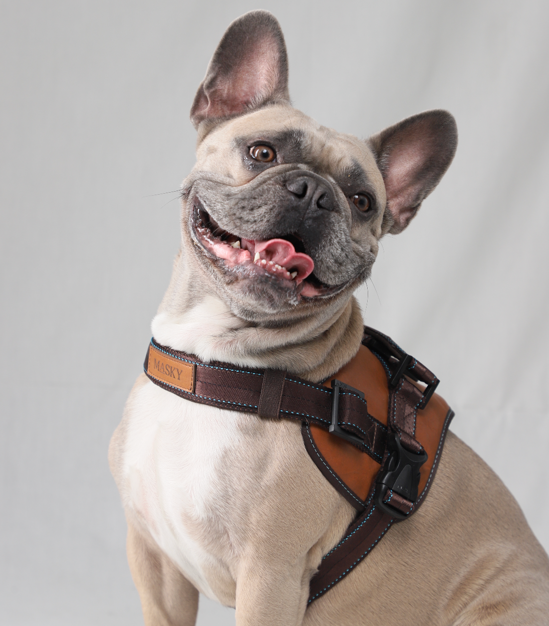 Mayo Leather Harness • Honey ~ Brown