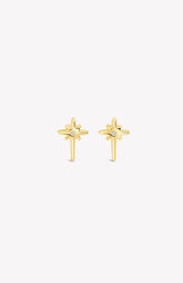 Adoring Star Stud Earring
