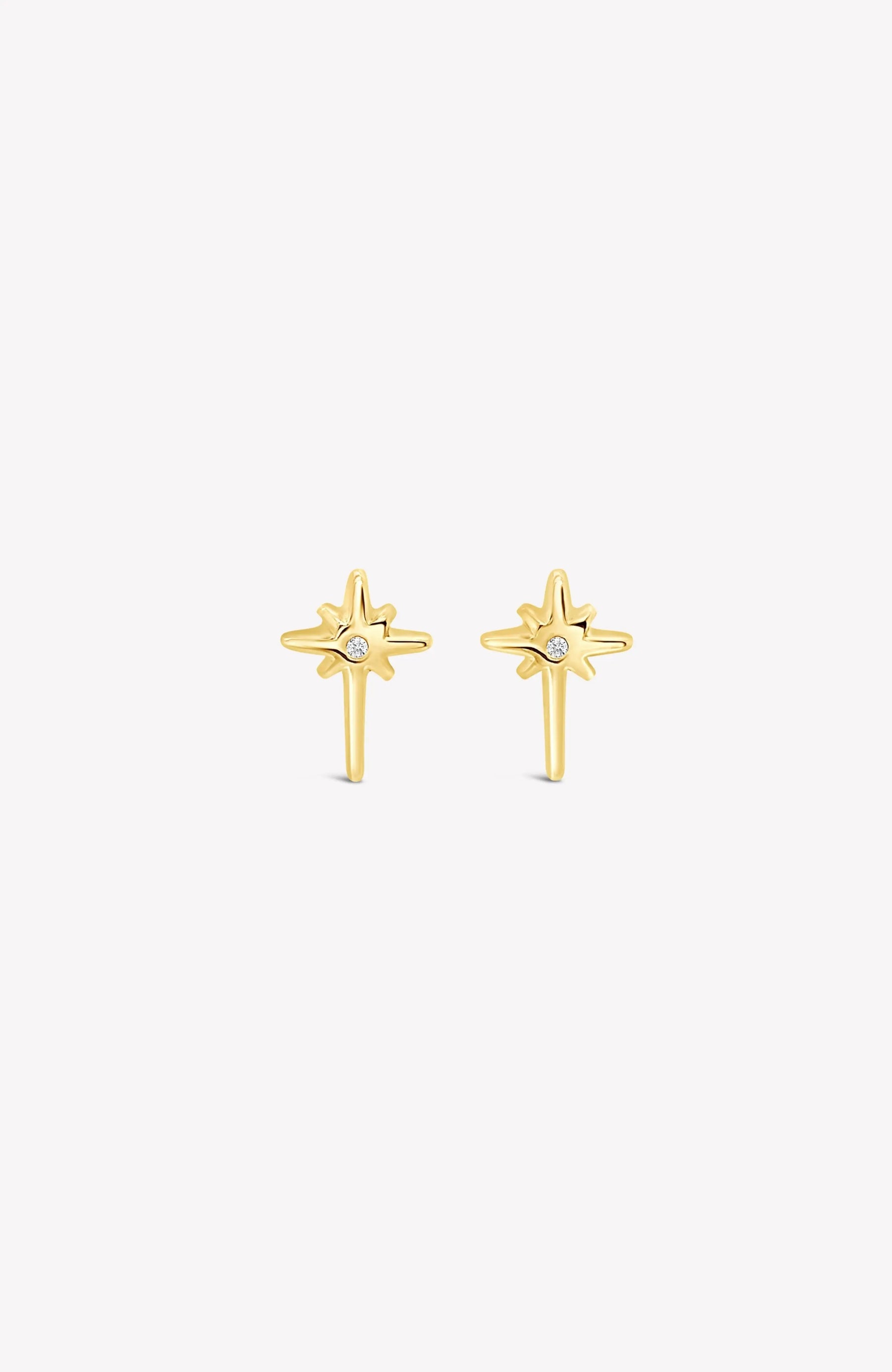Adoring Star Stud Earring