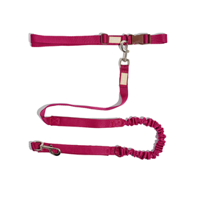 Dog Hands-free Expandable Leash BASIC Ruby