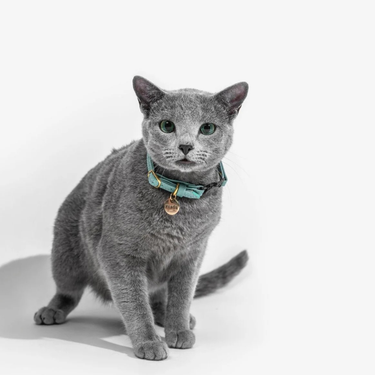 Leather Cat Collar