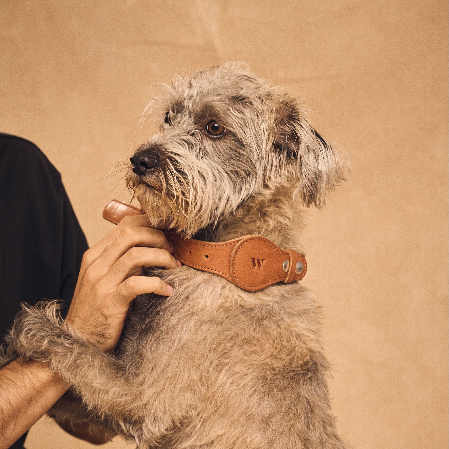 AirTag Pet Leash