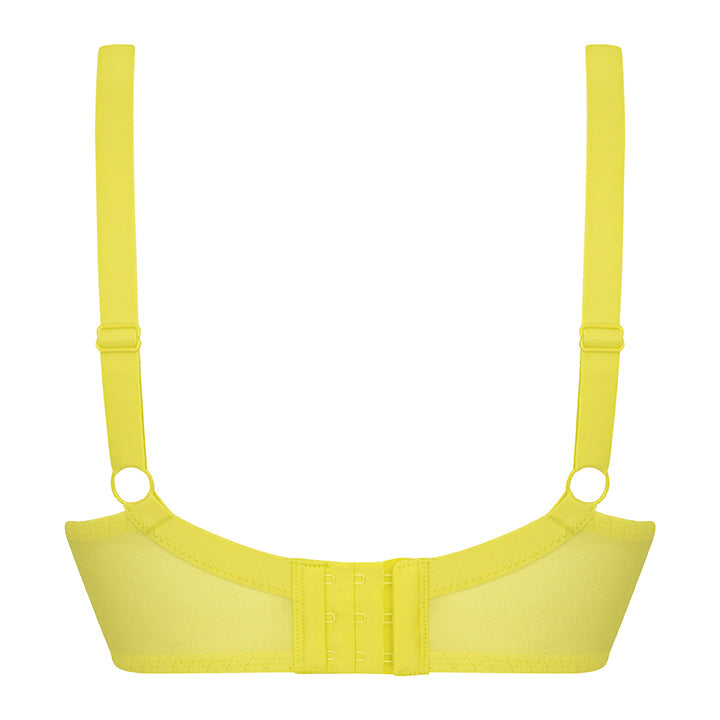 Curvy Kate Lifestyle Lemon