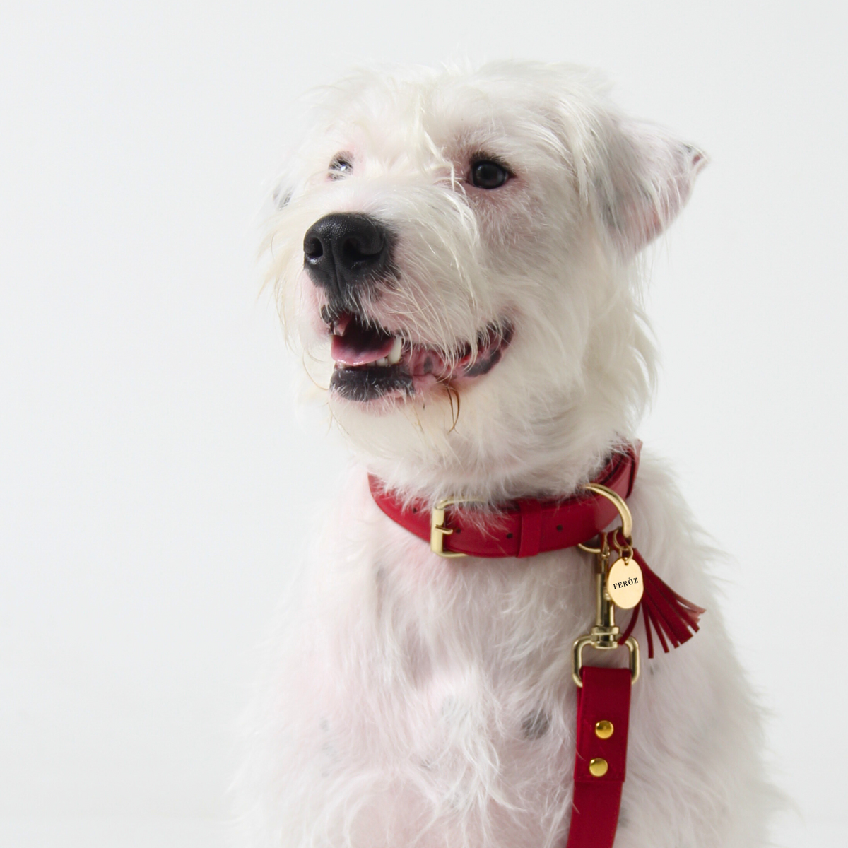Red Leather Dog Collar