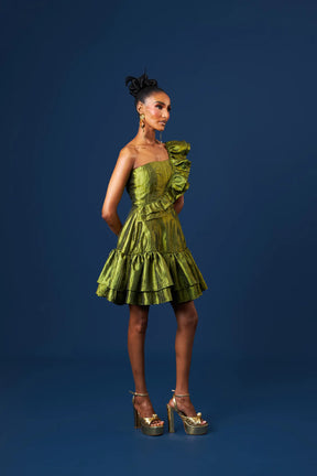 Hasana Mini Dress