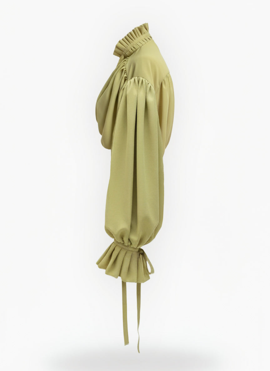 Mously Pleated Blouse
